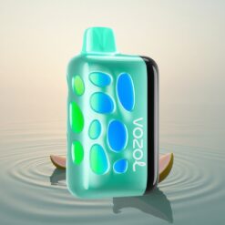 VOZOL RAVE 40000 Puffs Menthe Fraîche Lumière Vibrante