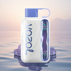 VOZOL STAR 40000 Puffs Glace Myrtille 1000mAh Type-C 20/50mg