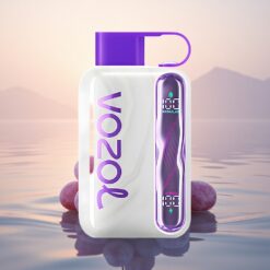 VOZOL STAR 40000 Puffs Glace de Raisin 1000mAh Type-C 20/50mg