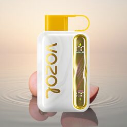 VOZOL STAR 40000 Puffs Pêche Mangue 1000mAh Type-C 20mg