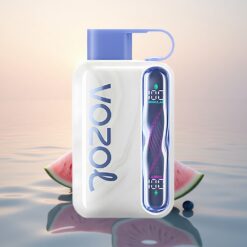 VOZOL STAR 40000 Puffs Pastèque Myrtille 1000mAh Type-C 20/50mg/ml