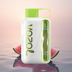 VOZOL STAR 40000 Puffs Pastèque Raisin Boysenberry 1000mAh Type-C 20/50mg/ml