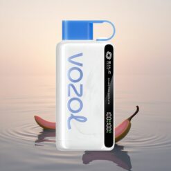 VOZOL STAR 9000/12000 Puffs BullVape Recyclé Charge Rapide 9000