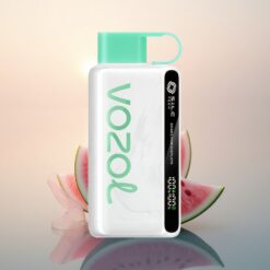 VOZOL STAR 9000/12000 Puffs Chewing Gum Pastèque avec Batterie 650mAh et Charge Rapide 30%
