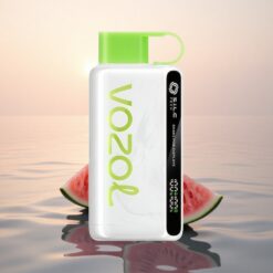 VOZOL STAR 9000/12000 Puffs Fraise Pastèque Recyclé avec Charge Rapide
