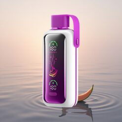 VOZOL Star 20000 Puffs Amour 777 Double Mesh Écran HD