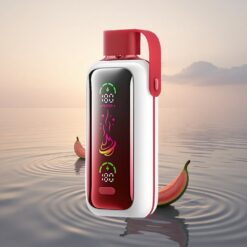 VOZOL Star 20000 Puffs Explosion Tropicale à Double Mesh Écran HD